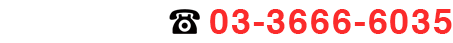 03-3666-6035